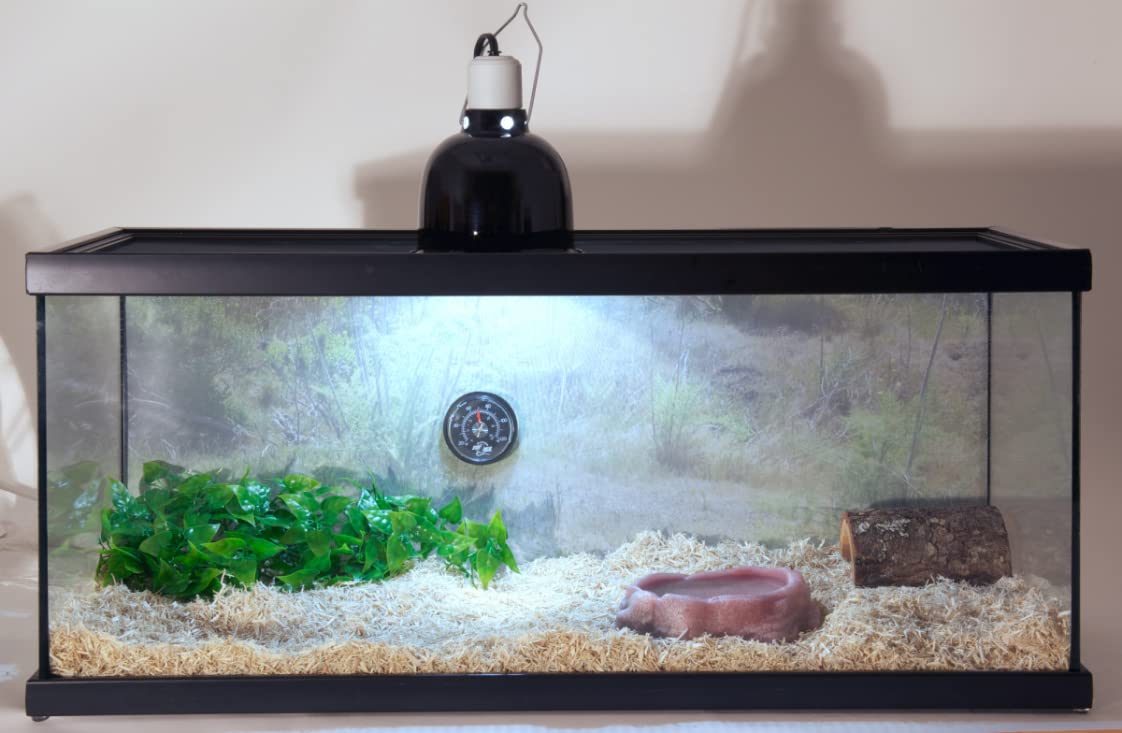 Zoo Med Laboratories SZMNTS21 Reptihabitat 20 Long Snake Starter Kit