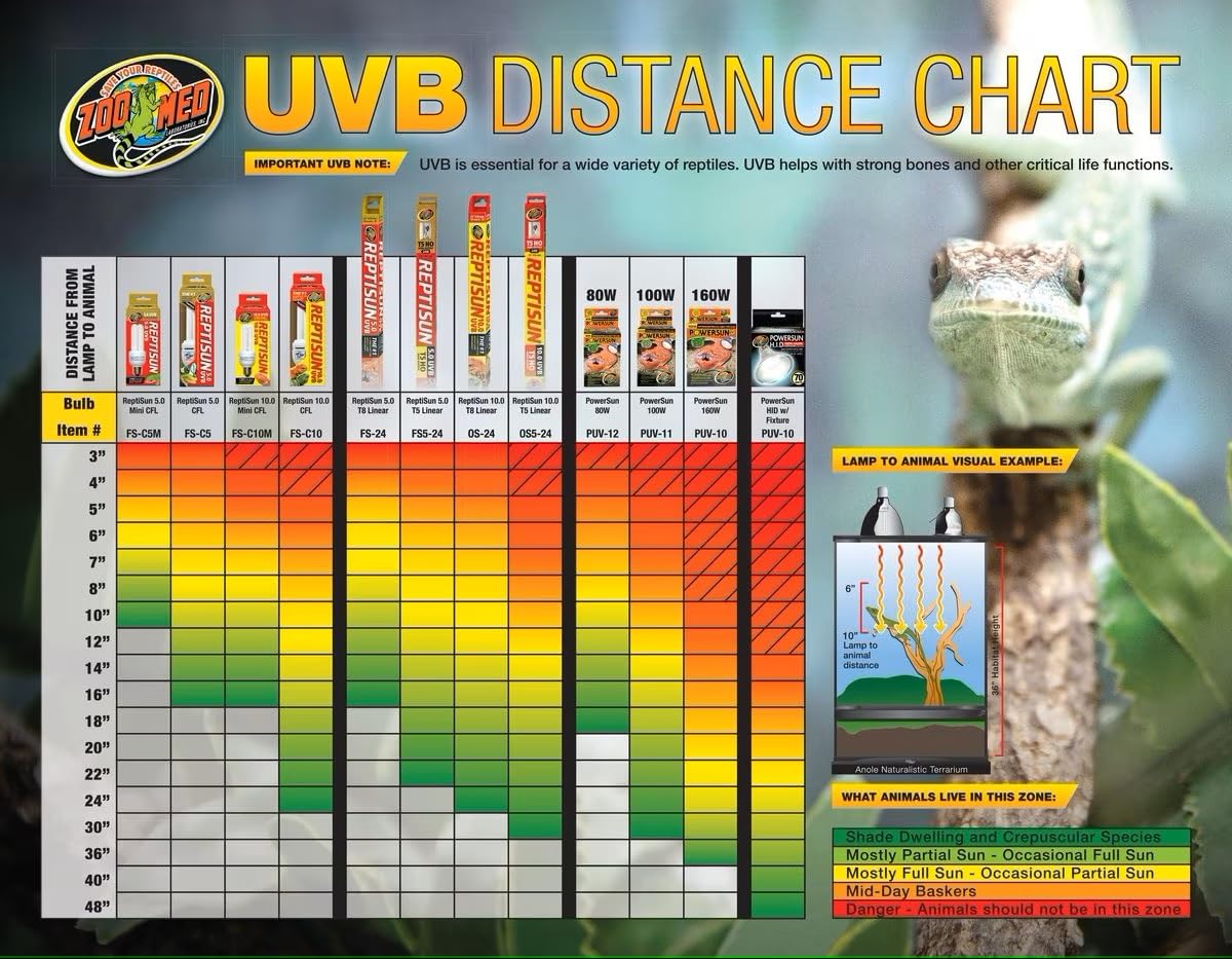 Zoo Med Desert UVB & Heat Lighting Dual Kit