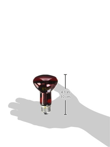 Zoo Med Nocturnal Infrared Heat Lamp 50 Watts