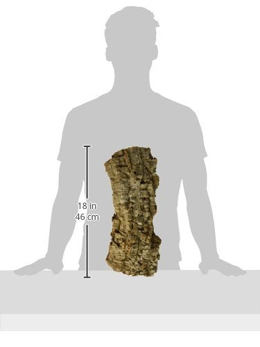 Zoo Med (2 Pack) Natural Cork Bark, Flat, Large