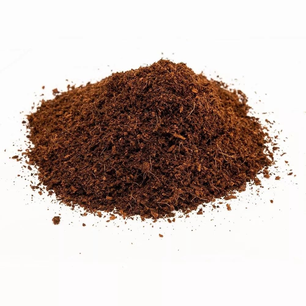 Zoo Med Eco Earth All-Natural Loose Coconut Fiber, Safely Composted, Tropical Substrate for Reptiles (8 Quarts, 2-Pack)