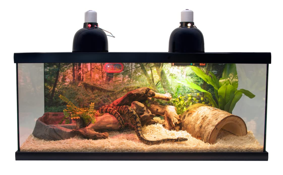 Zoo Med Laboratories SZMNTS21 Reptihabitat 20 Long Snake Starter Kit