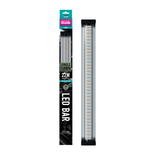 Jungle Dawn LED Bar - 22W
