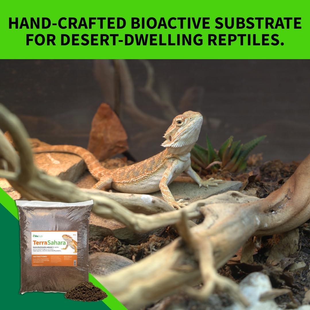 BIODUDE The Bio Dude Terra Sahara Bioactive Reptile Substrate 18 quarts for terrariums and vivariums. Great for All Bearded Dragons, Leopard Geckos, Uromastyx, Tarantulas and Desert Plants