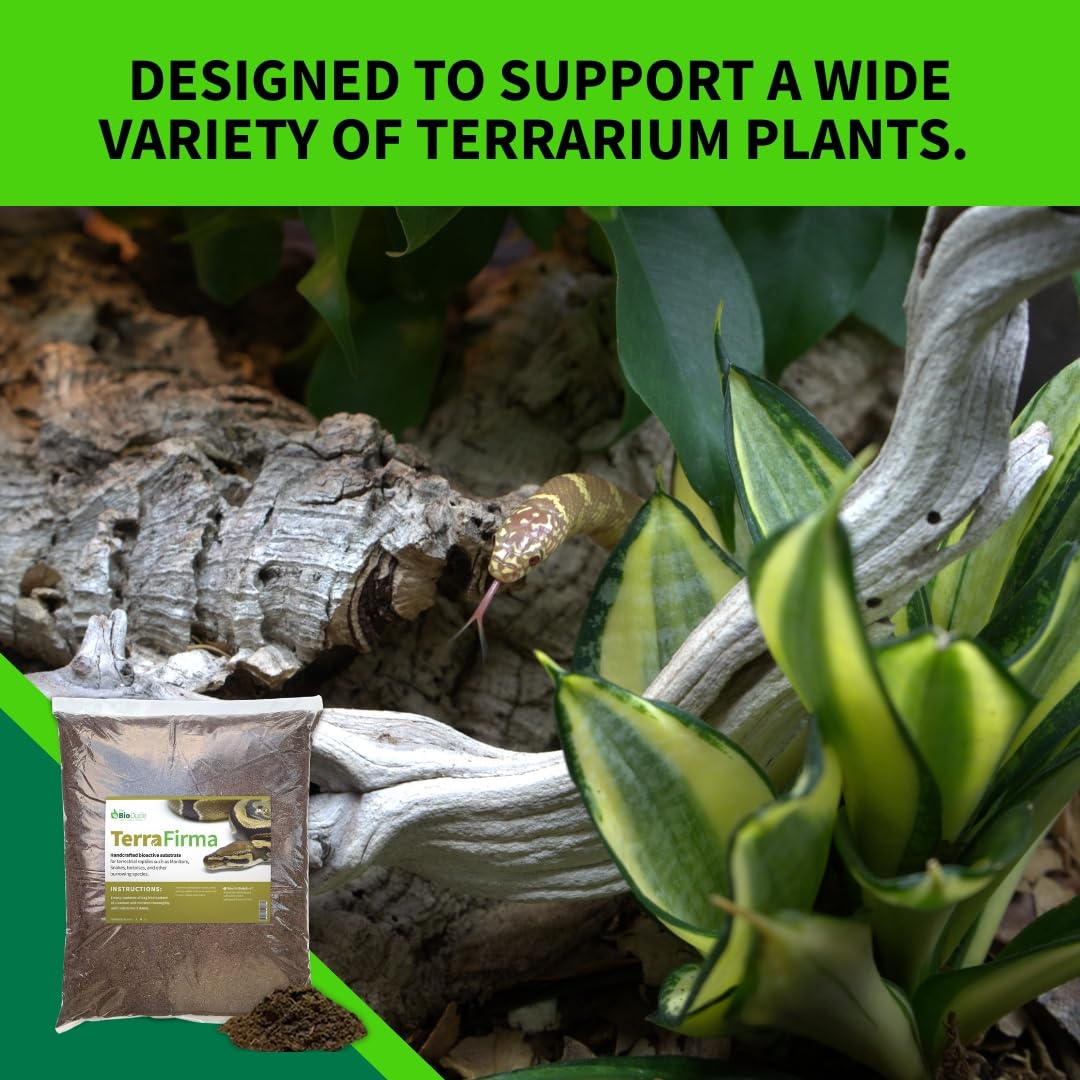 The Bio Dude Terra Firma Bioactive Reptile Substrate 6 quarts for terrariums and vivariums. Bioactive Habitat Substrate for Ball Pythons, Fat Tail Geckos, Milk Snakes, King Snakes and Monitors