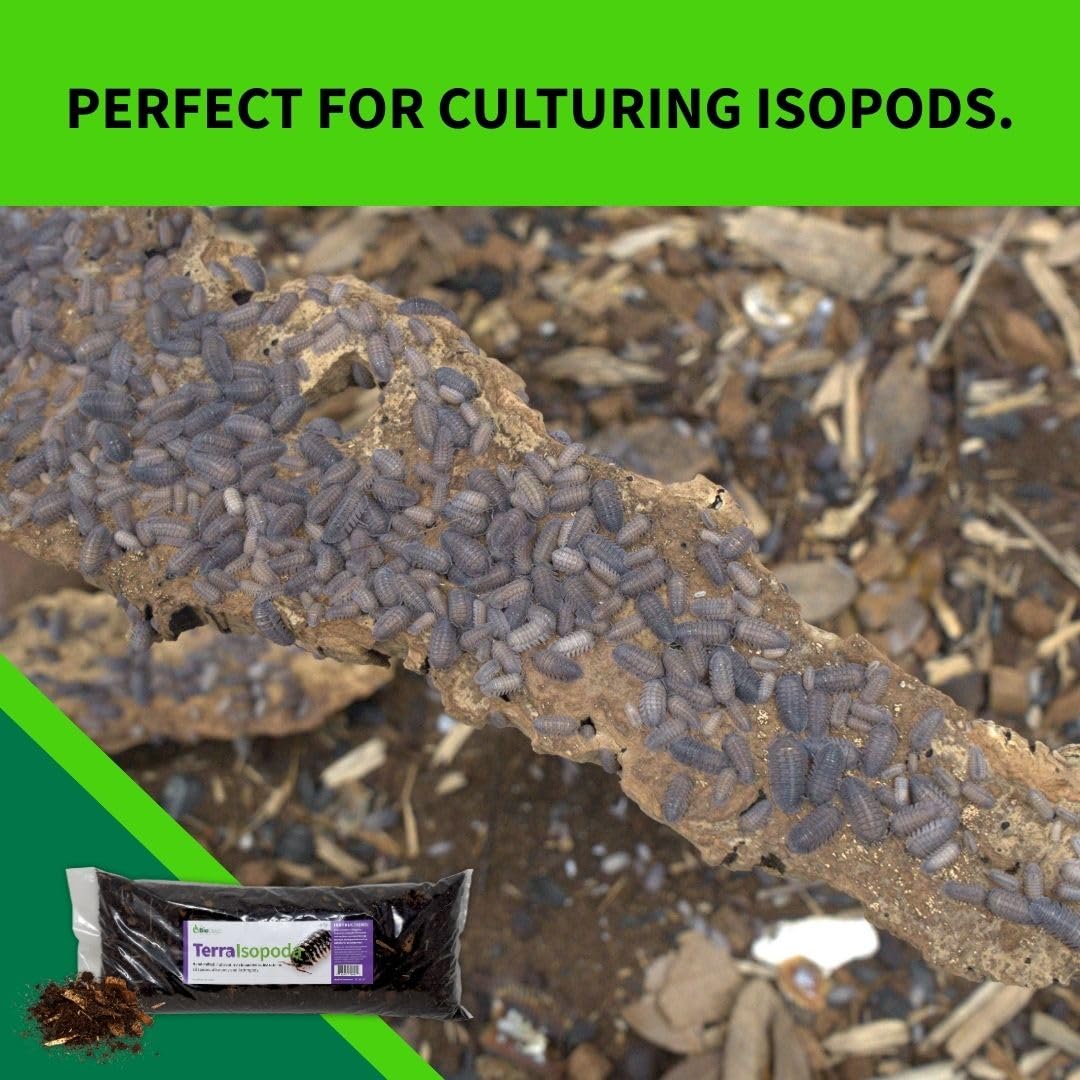 The Bio Dude Terra Isopoda Isopod Bioactive Substrate - 6 quarts - Great for Millipedes, Centipedes, Springtails, Isopod culturing and Keeping. High in Calcium and Trace Elements for Clean up Crew