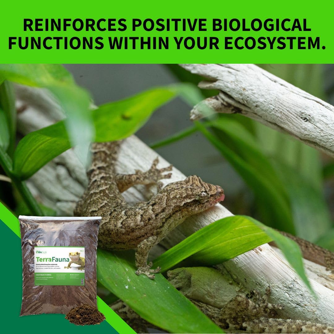 The Bio Dude Terra Fauna Bioactive Reptile Substrate 6 quarts for Terrarium and Vivarium Habitat. Great for Crested Geckos, Gargoyle Geckos, Day Geckos, Whites Tree Frogs and Indoor Gardening