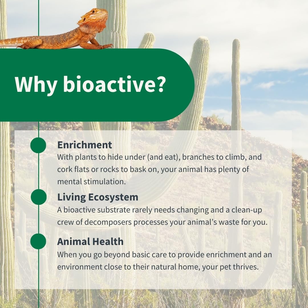 The Bio Dude Terra Sahara Bioactive Reptile Substrate 6 quarts for terrariums and vivariums. Great Bedding for Bearded Dragons, Uromasatyx, Leopard Geckos, Sand Boas and Desert Plants