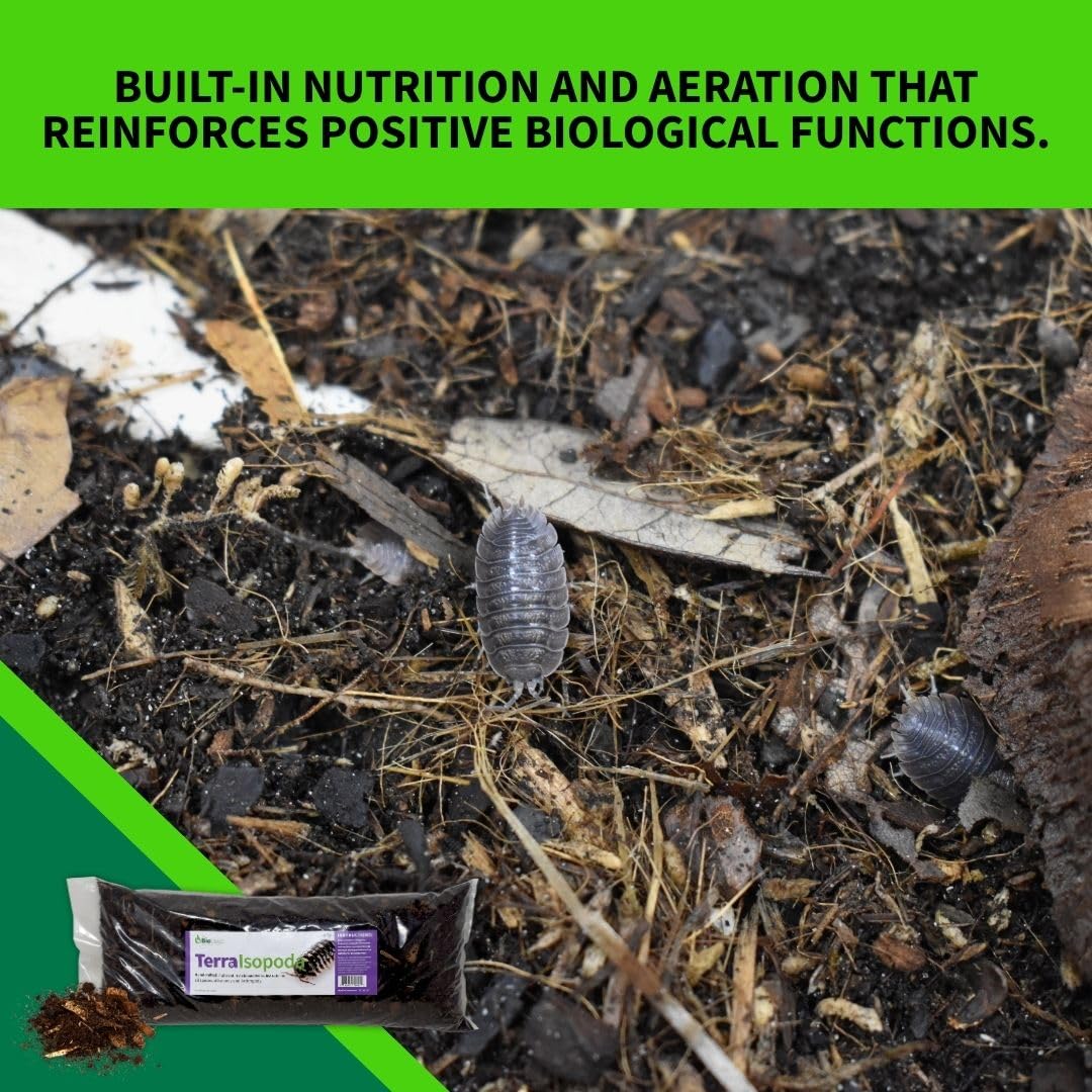 The Bio Dude Terra Isopoda Isopod Bioactive Substrate - 6 quarts - Great for Millipedes, Centipedes, Springtails, Isopod culturing and Keeping. High in Calcium and Trace Elements for Clean up Crew