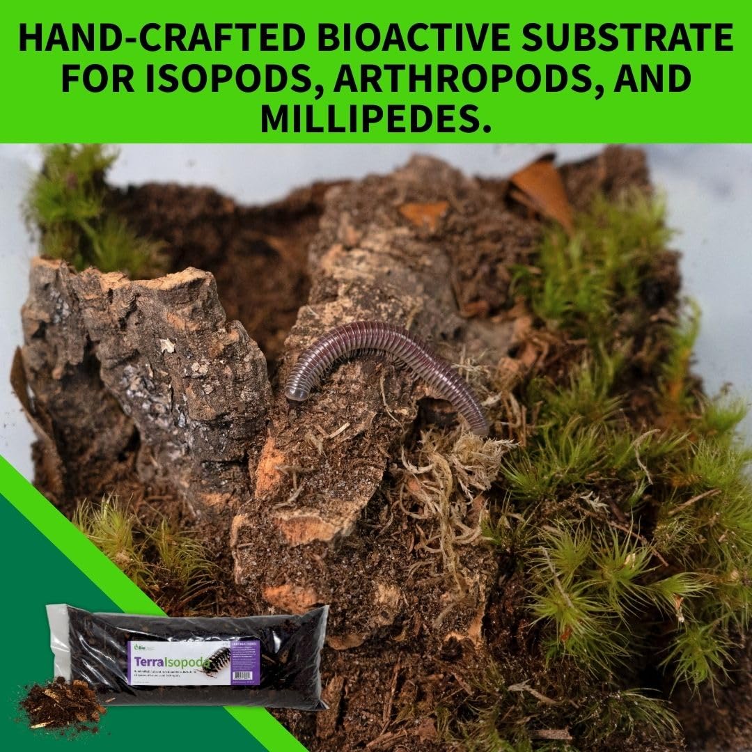 The Bio Dude Terra Isopoda Isopod Bioactive Substrate - 6 quarts - Great for Millipedes, Centipedes, Springtails, Isopod culturing and Keeping. High in Calcium and Trace Elements for Clean up Crew