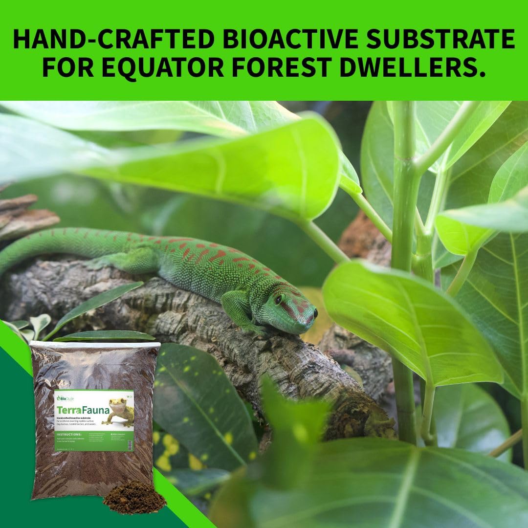The Bio Dude Terra Fauna Bioactive Reptile Substrate 18 Quart for Reptile habitats, terrariums and vivariums. Great for Crested Geckos, Gargoyle Geckos, Day Geckos, Frogs and Indoor Gardening