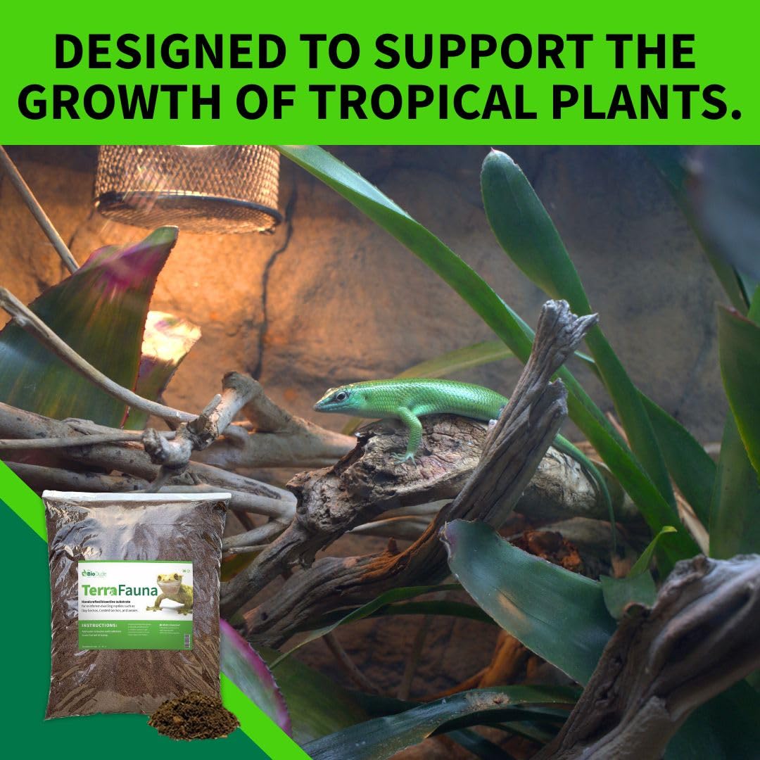 The Bio Dude Terra Fauna Bioactive Reptile Substrate 18 Quart for Reptile habitats, terrariums and vivariums. Great for Crested Geckos, Gargoyle Geckos, Day Geckos, Frogs and Indoor Gardening