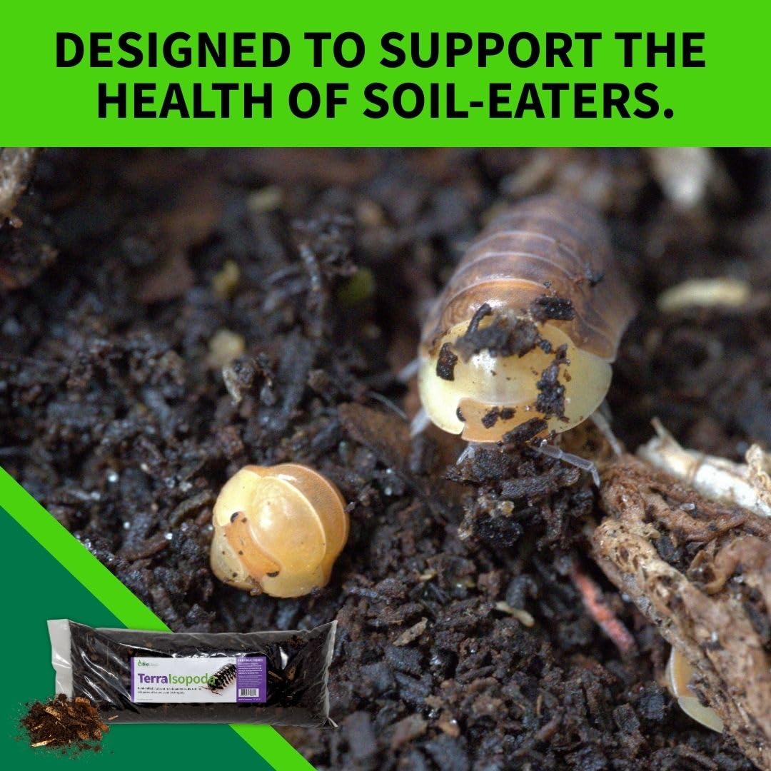 The Bio Dude Terra Isopoda Isopod Bioactive Substrate - 6 quarts - Great for Millipedes, Centipedes, Springtails, Isopod culturing and Keeping. High in Calcium and Trace Elements for Clean up Crew