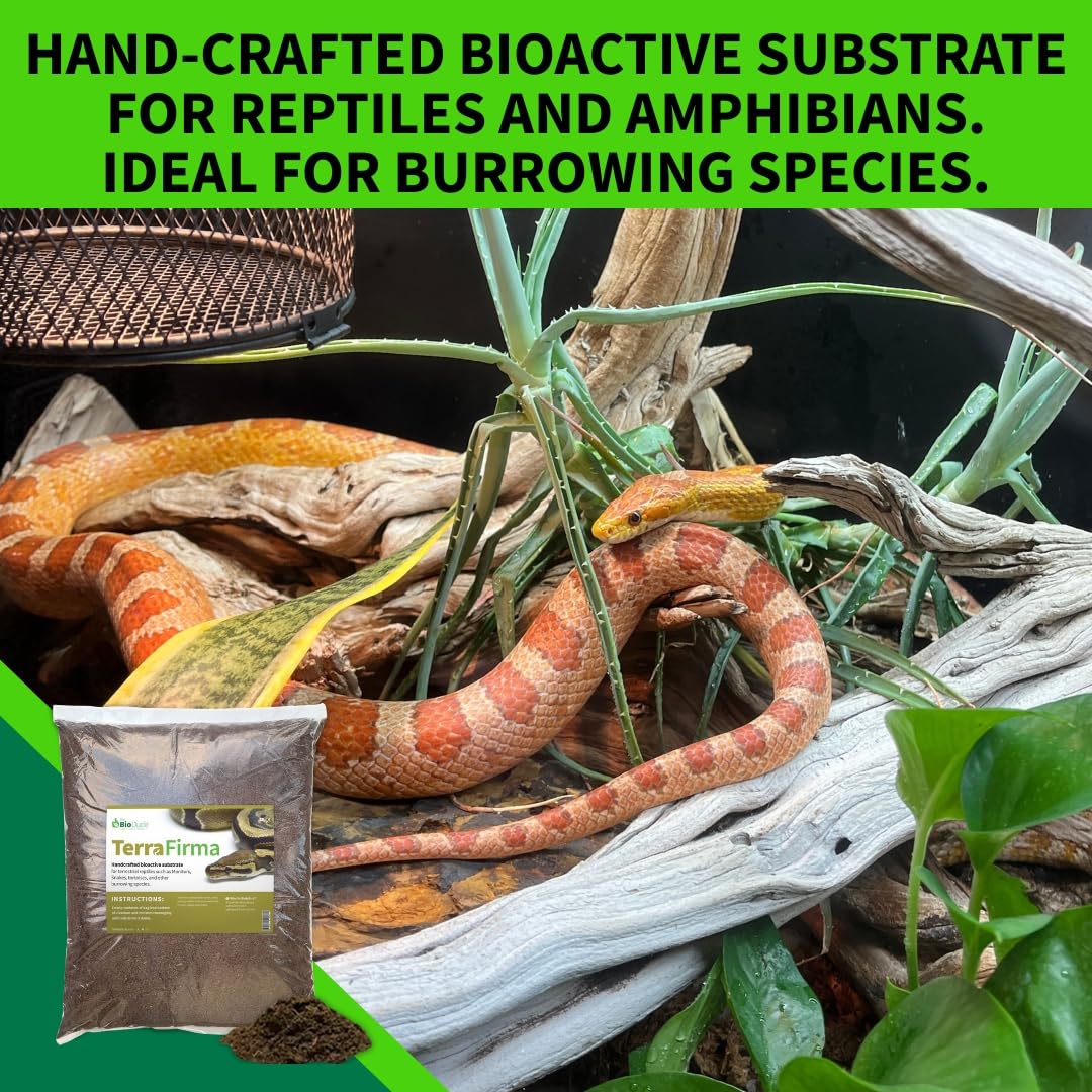 The Bio Dude Terra Firma Bioactive Reptile Substrate 6 quarts for terrariums and vivariums. Bioactive Habitat Substrate for Ball Pythons, Fat Tail Geckos, Milk Snakes, King Snakes and Monitors