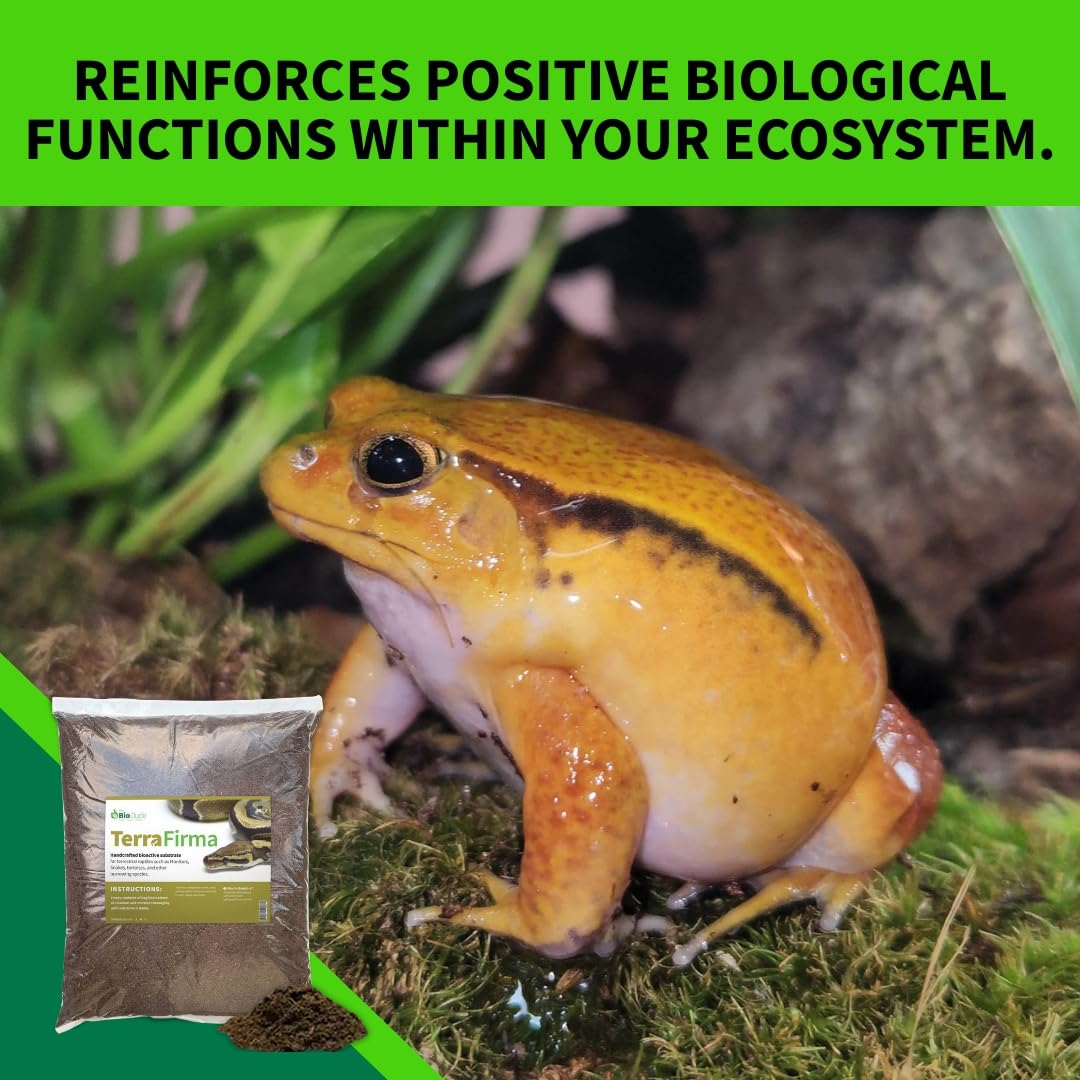 The Bio Dude Terra Firma Bioactive Reptile Substrate 6 quarts for terrariums and vivariums. Bioactive Habitat Substrate for Ball Pythons, Fat Tail Geckos, Milk Snakes, King Snakes and Monitors