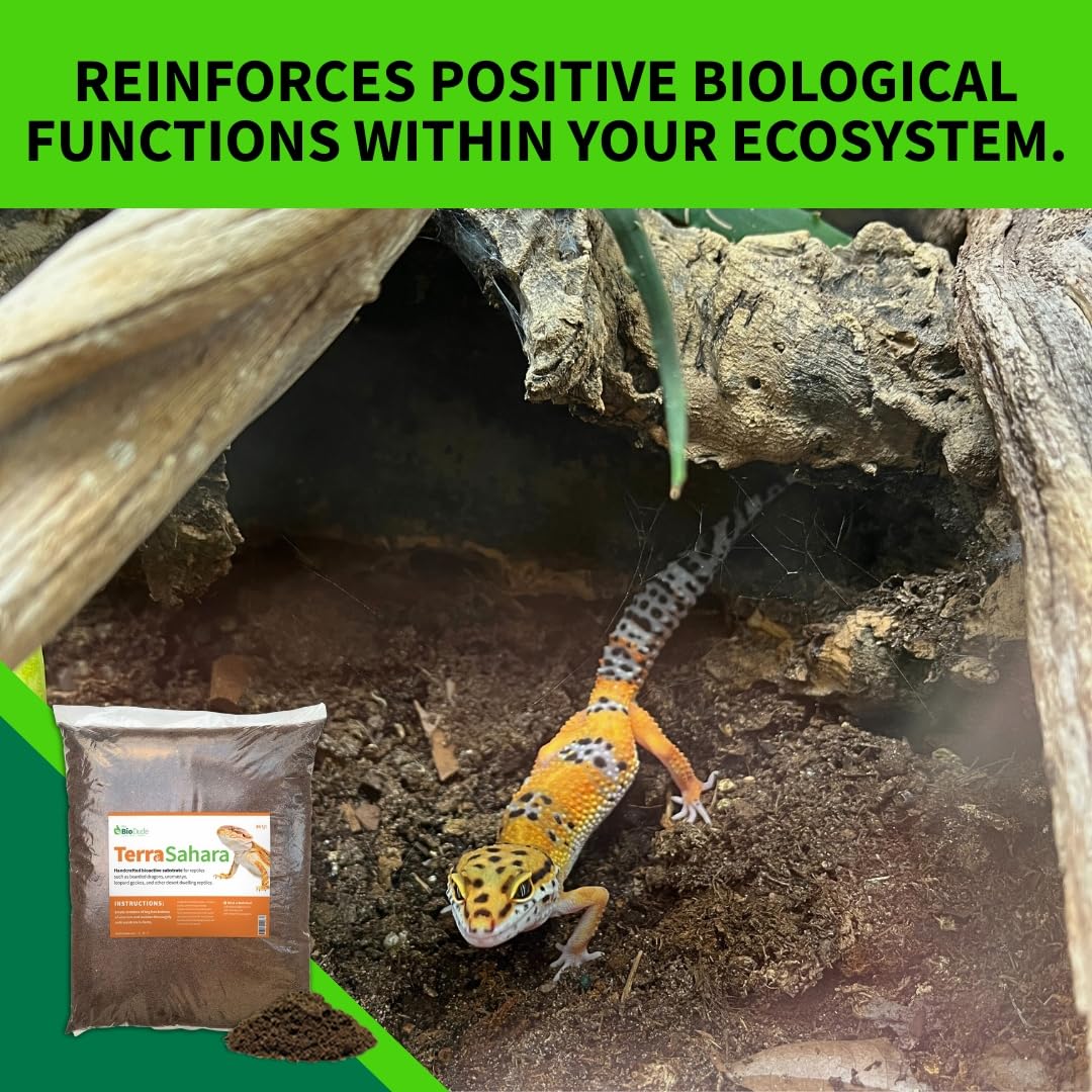 The Bio Dude Terra Sahara Bioactive Reptile Substrate 6 quarts for terrariums and vivariums. Great Bedding for Bearded Dragons, Uromasatyx, Leopard Geckos, Sand Boas and Desert Plants