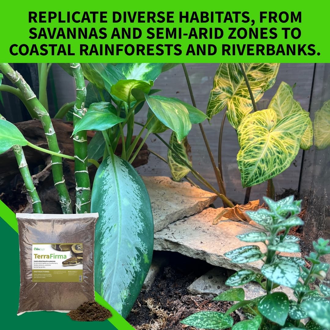 The Bio Dude Terra Firma Bioactive Reptile Substrate 6 quarts for terrariums and vivariums. Bioactive Habitat Substrate for Ball Pythons, Fat Tail Geckos, Milk Snakes, King Snakes and Monitors