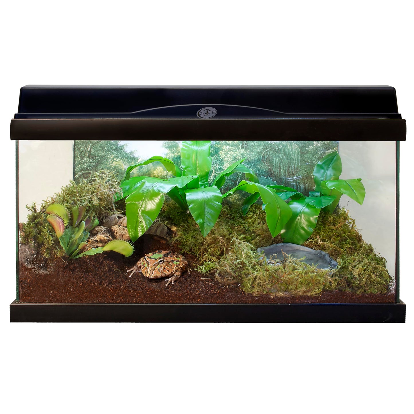 Zoo Med Eco Earth Compressed Coconut Fiber Substrate Reptiles 1 Brick - 3 Pack
