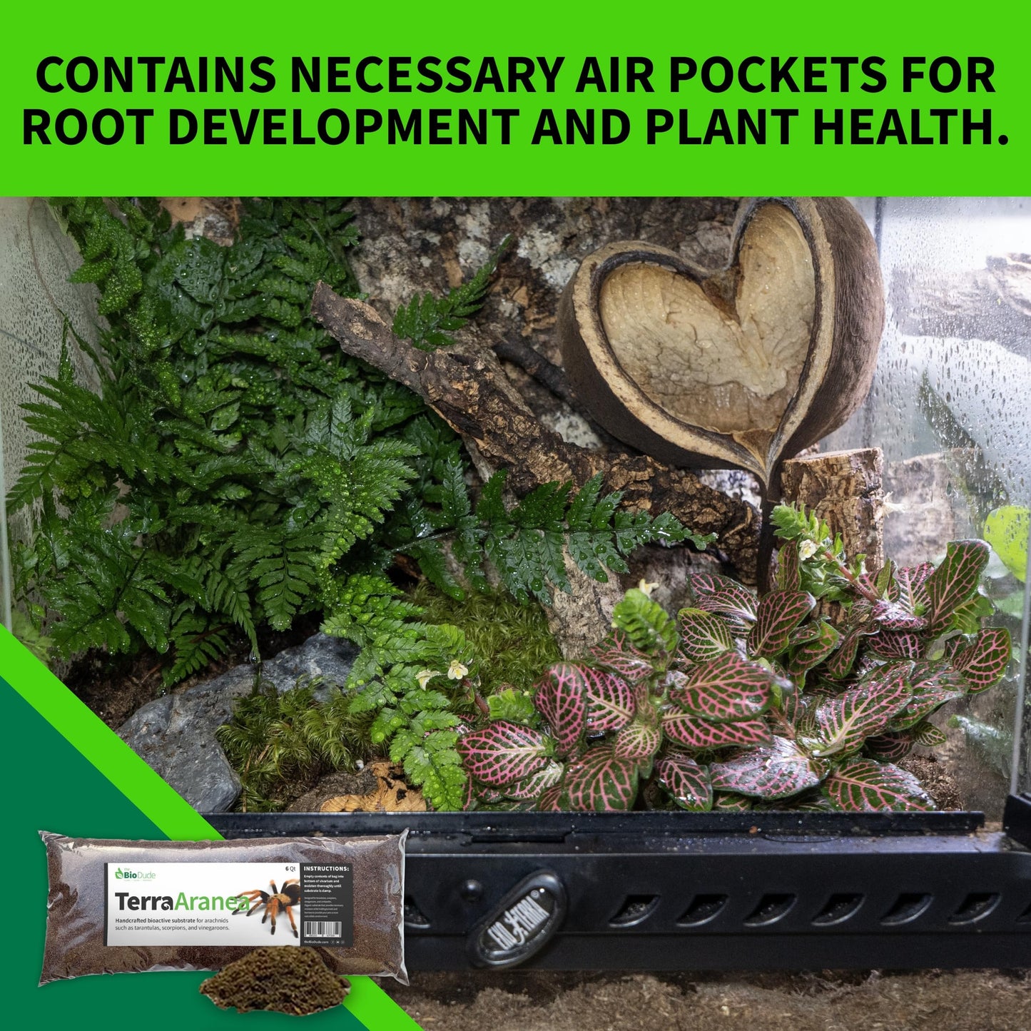 The Bio Dude Terra Aranea 6 quarts Bioactive Substrate for Tarantulas, Centipedes, Scorpions, Isopods and Millipedes Terrarium and Vivarium Habitat Bedding for invertebrates