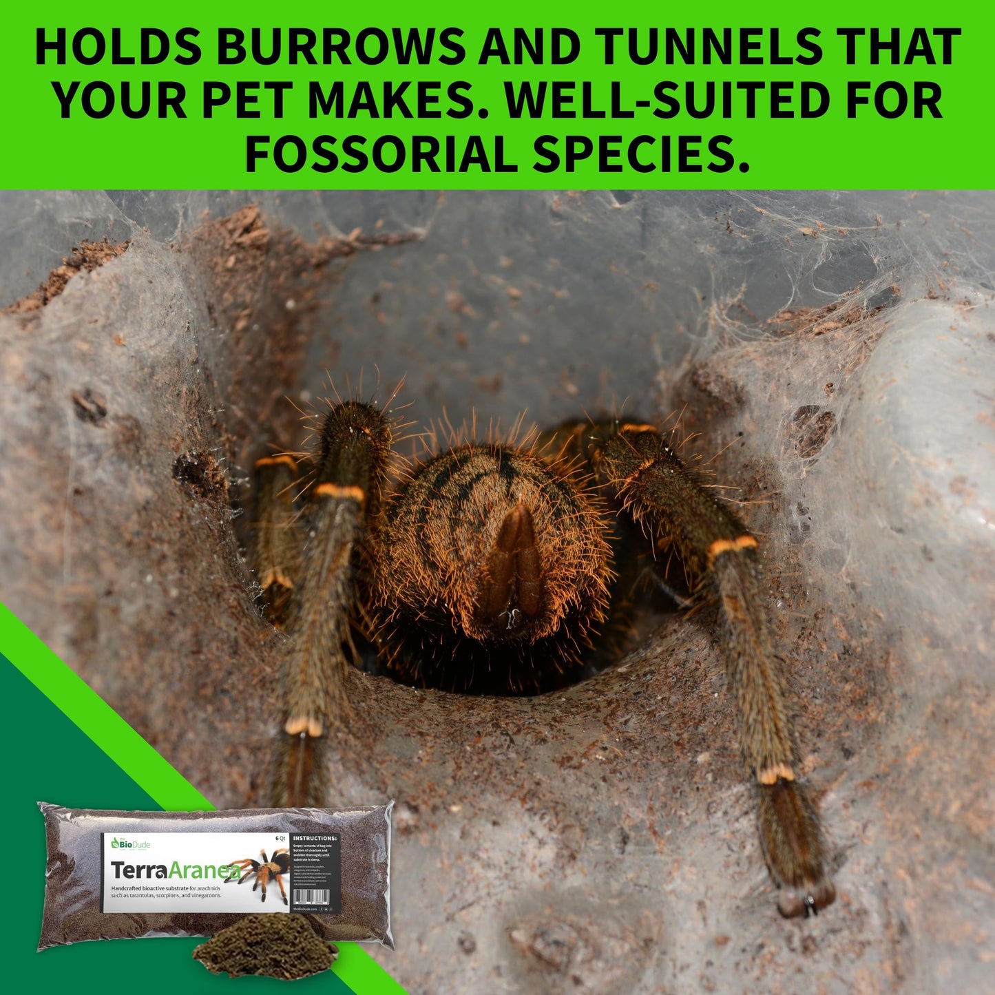 The Bio Dude Terra Aranea 6 quarts Bioactive Substrate for Tarantulas, Centipedes, Scorpions, Isopods and Millipedes Terrarium and Vivarium Habitat Bedding for invertebrates