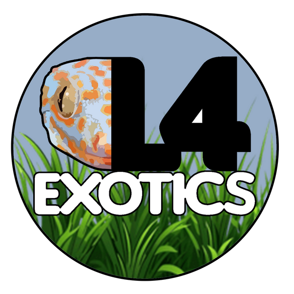 L4 Exotics
